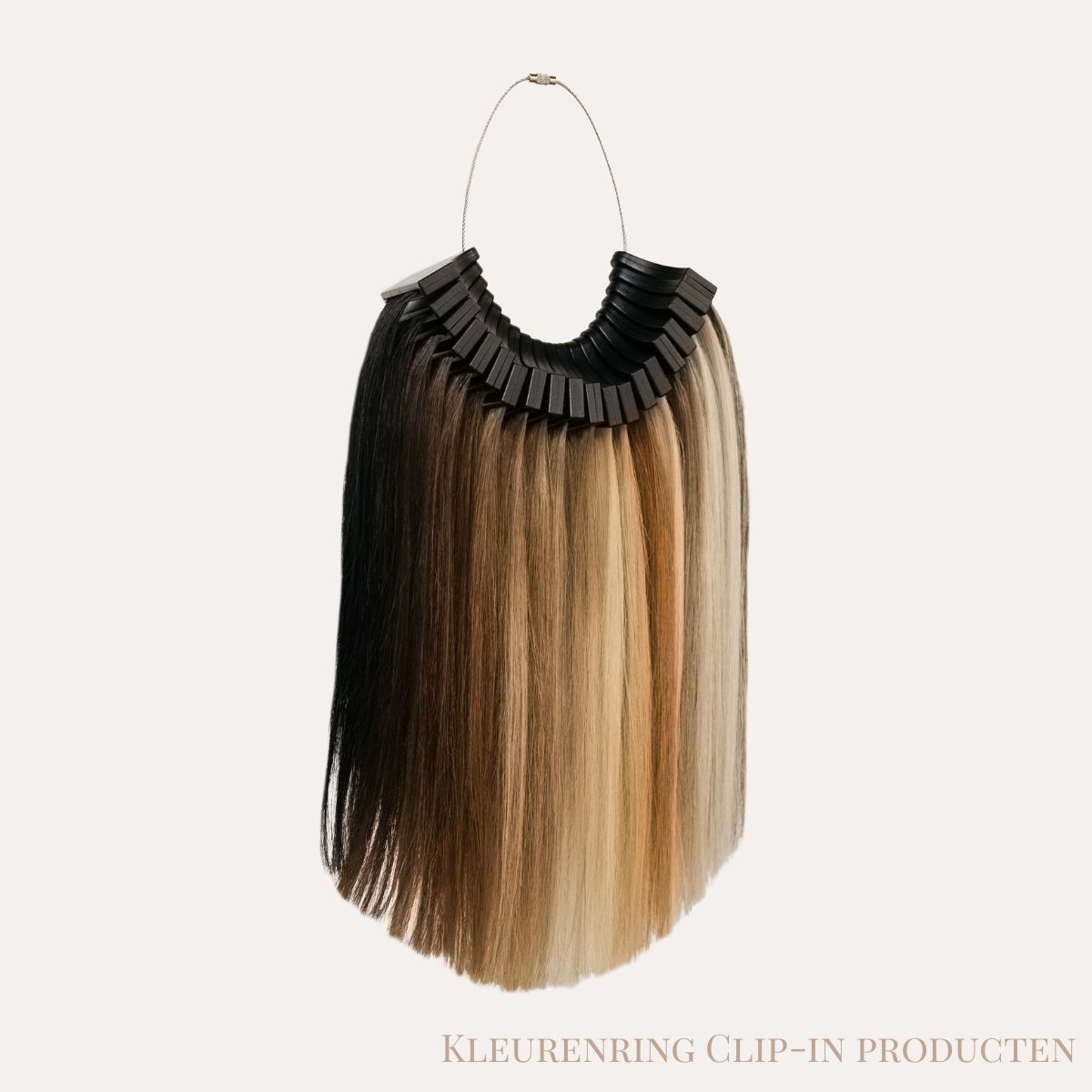 Zascha Hair Kleurenringen