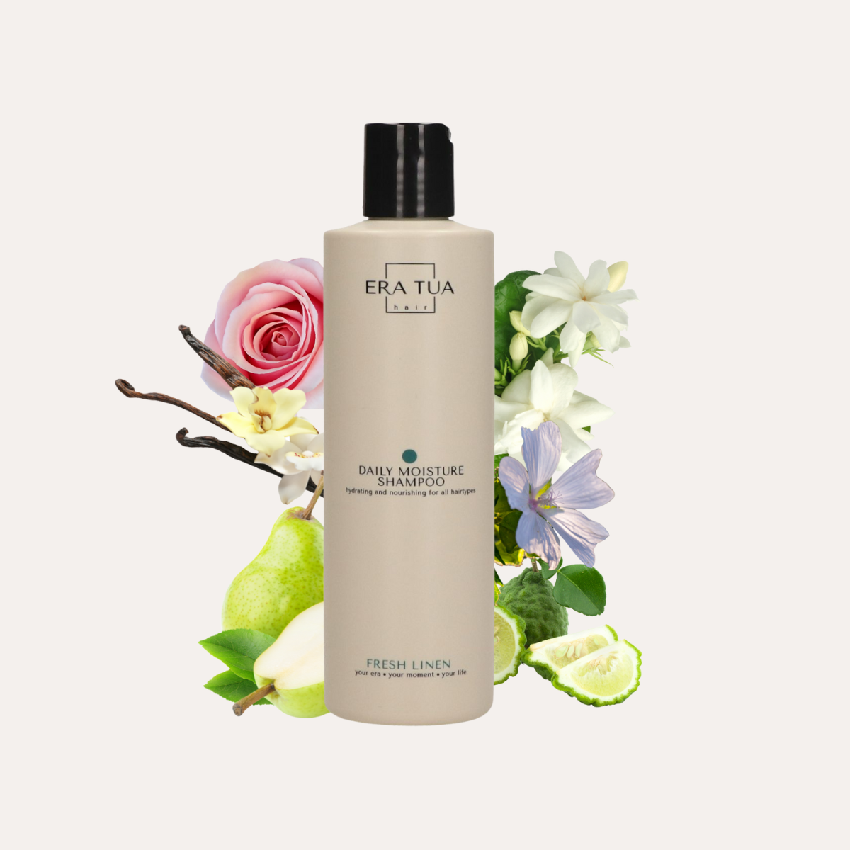ERA TUA Daily Moisture