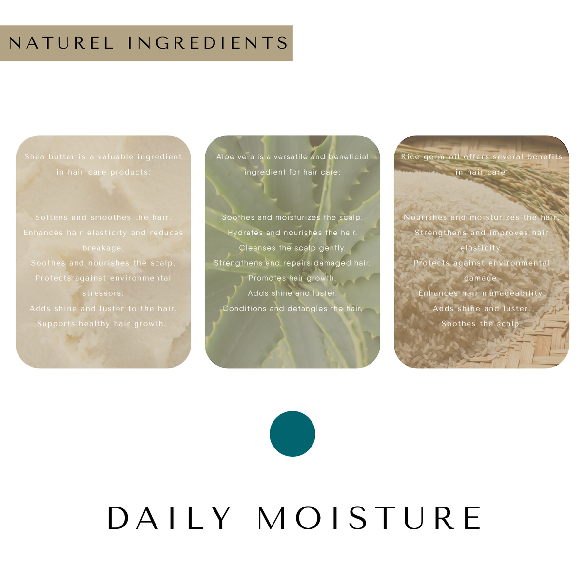 ERA TUA Daily Moisture