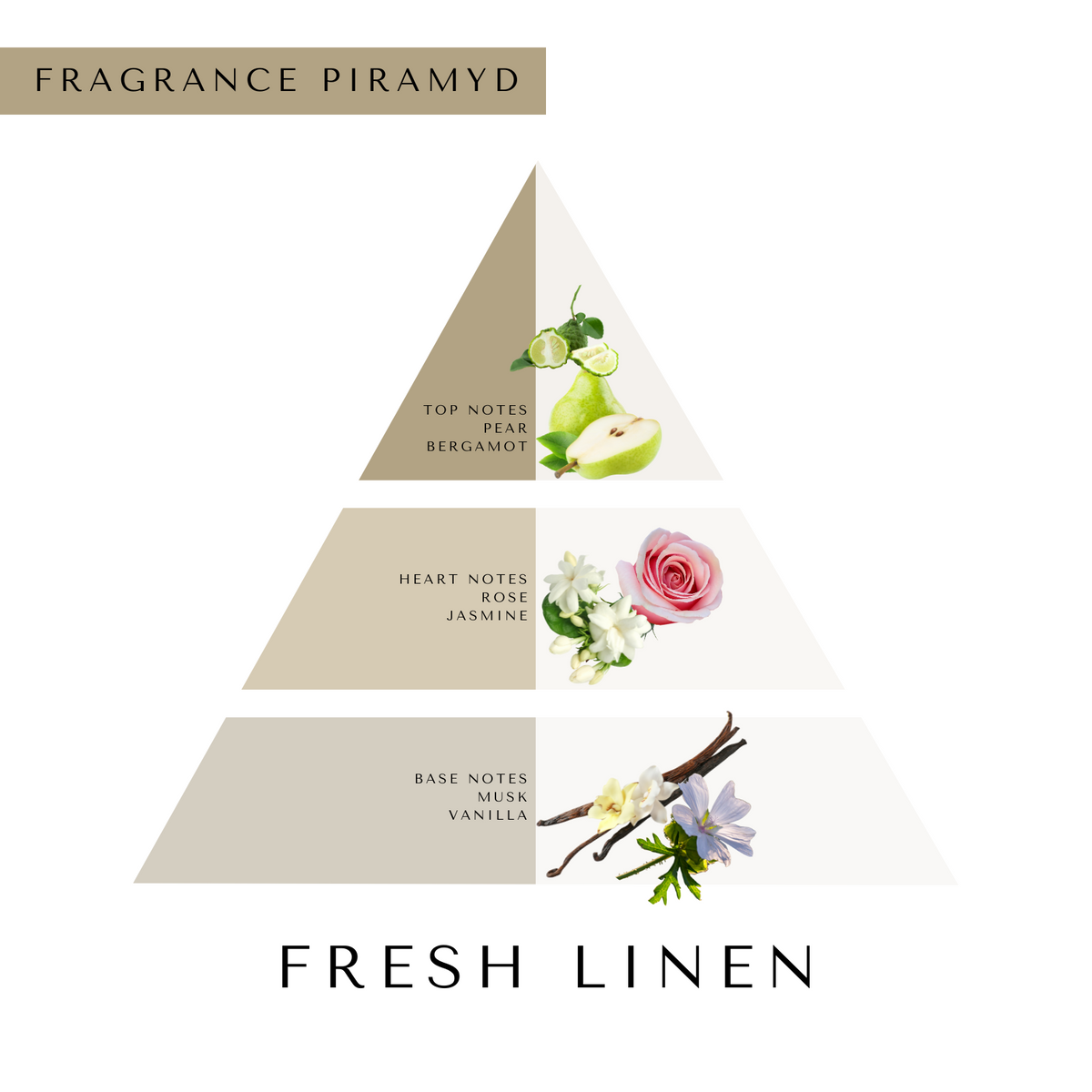 ERA TUA Daily Moisture